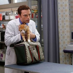 Foto Animal Practice