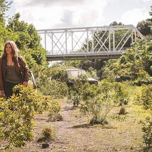 Foto Tracy Spiridakos