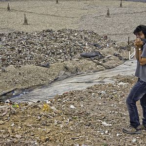 Foto Der Müll im Garten Eden