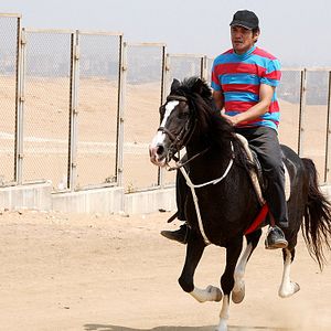 Foto After the battle