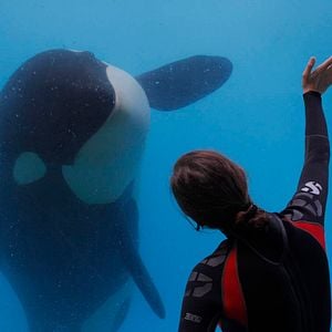 Foto De óxido y hueso