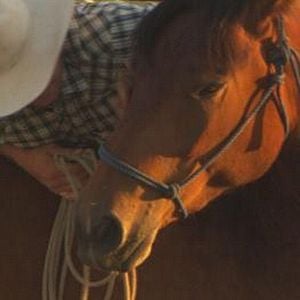 Foto Wild Horse, Wild Ride