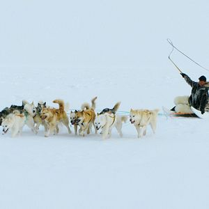 Foto Voyage d’Inuk