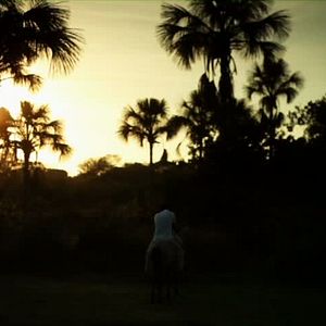 Foto Girimunho, imaginando la vida