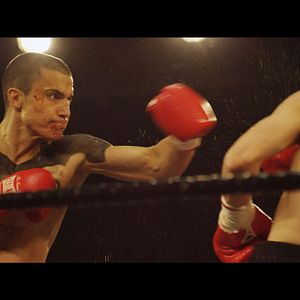 Foto Alacrán Enamorado