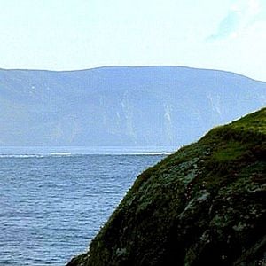 Foto El secreto de la isla de las focas
