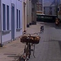 El secreto de la isla de las focas - Película 1996