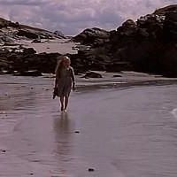 Foto El secreto de la isla de las focas