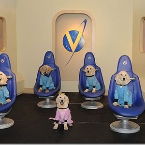 Foto Space Buddies: Cachorros en el espacio