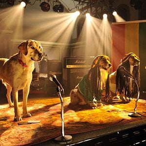 Foto Un chihuahua en Beverly Hills 3: ¡Viva La Fiesta!