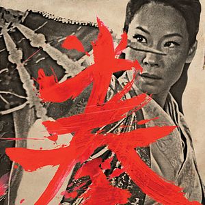 Foto El hombre de los puños de hierro