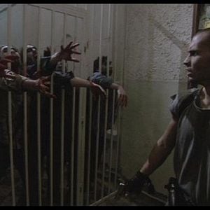 Foto Zone of the dead