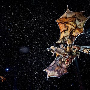 Foto Cirque du Soleil: Mundos lejanos 3D