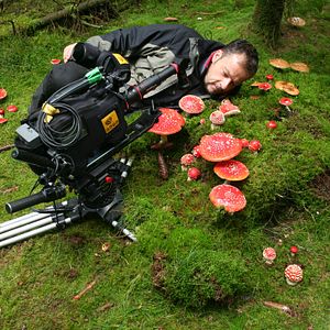 Foto Das grüne Wunder - Unser Wald