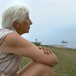 Foto Das Ding am Deich - Vom Widerstand gegen ein Atomkraftwerk