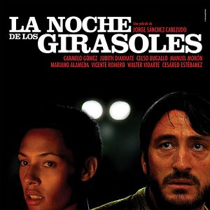 Foto La noche de los girasoles