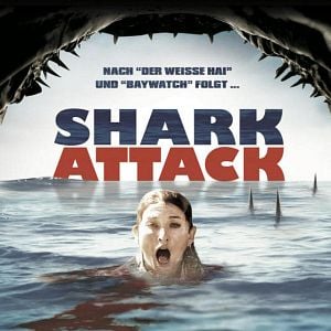 Foto Tiburones en Malibú