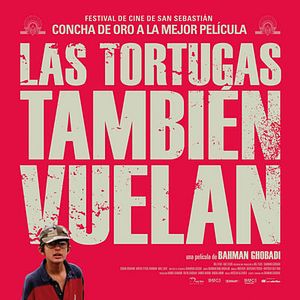 Foto Las tortugas también vuelan