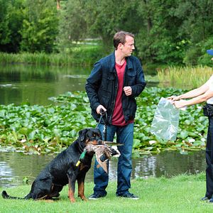 Foto Mann tut was Mann kann