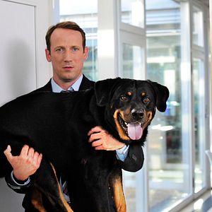 Mann tut was Mann kann - Película 2012