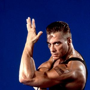 Foto Street Fighter (La última batalla)