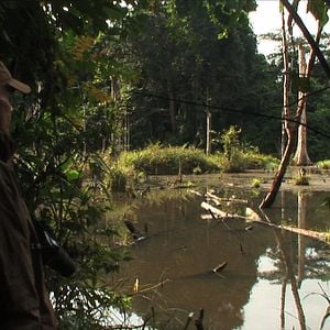 Foto L'Hypothèse du Mokélé M'Bembé