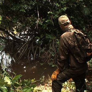 Foto L'Hypothèse du Mokélé M'Bembé