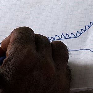 Foto L'Hypothèse du Mokélé M'Bembé