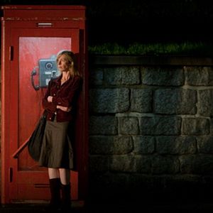 Foto Bittere Kirschen