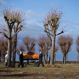 Foto Bittere Kirschen