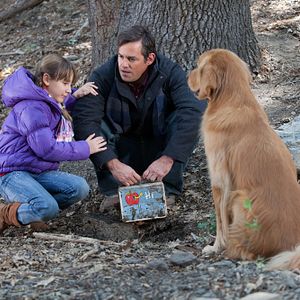 Foto Un lugar para el recuerdo