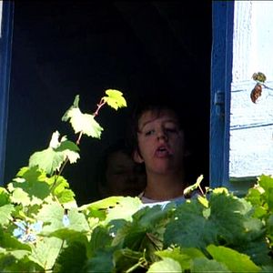 Foto This Our Still Life