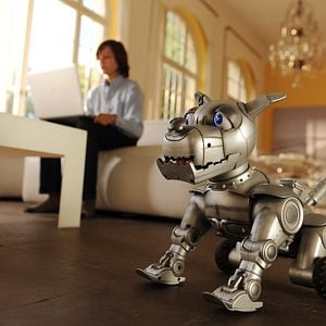 Foto Los Cinco y el misterio de la joya escondida