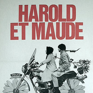 Foto Harold y Maude