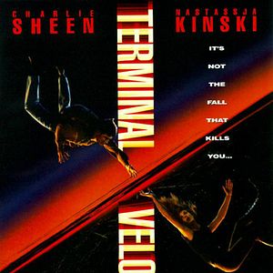 Foto Velocidad terminal