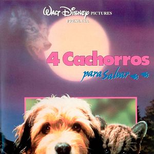 Foto Cuatro cachorros para salvar