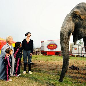 Foto Joséphine, ange gardien