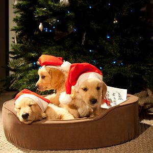 Foto El amor de tu vida