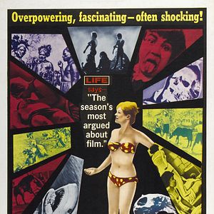 Foto Este perro mundo