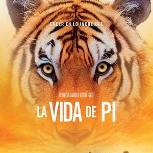 Foto La vida de Pi