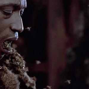 Foto Candyman (El dominio de la mente)