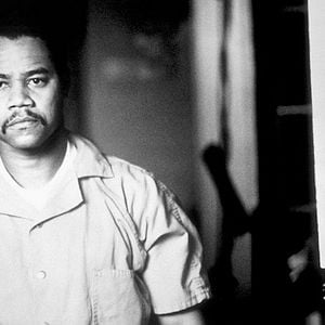 Foto Nido de cuervos