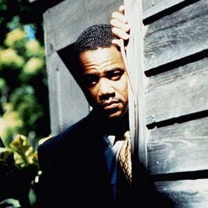 Foto Nido de cuervos