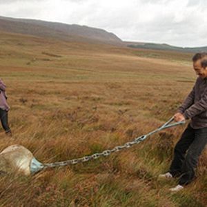 Foto Breathing Earth