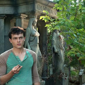 Foto Hermosas criaturas