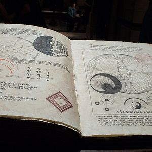 Foto Hermosas criaturas