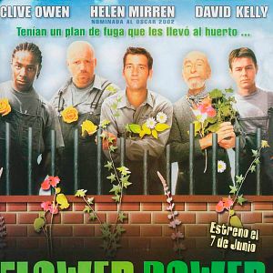 Foto Flower power, como una regadera