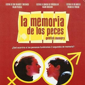 Foto La memoria de los peces