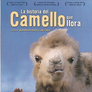 Foto La historia del camello que llora