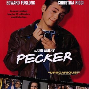 Foto Pecker